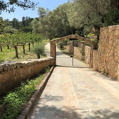 Caseddu N 1 Entre Et L'ombre Des Oliviers Hébergement de vacances *